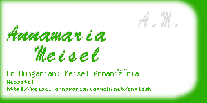 annamaria meisel business card